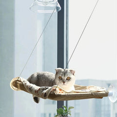 Cat Suspended Bed